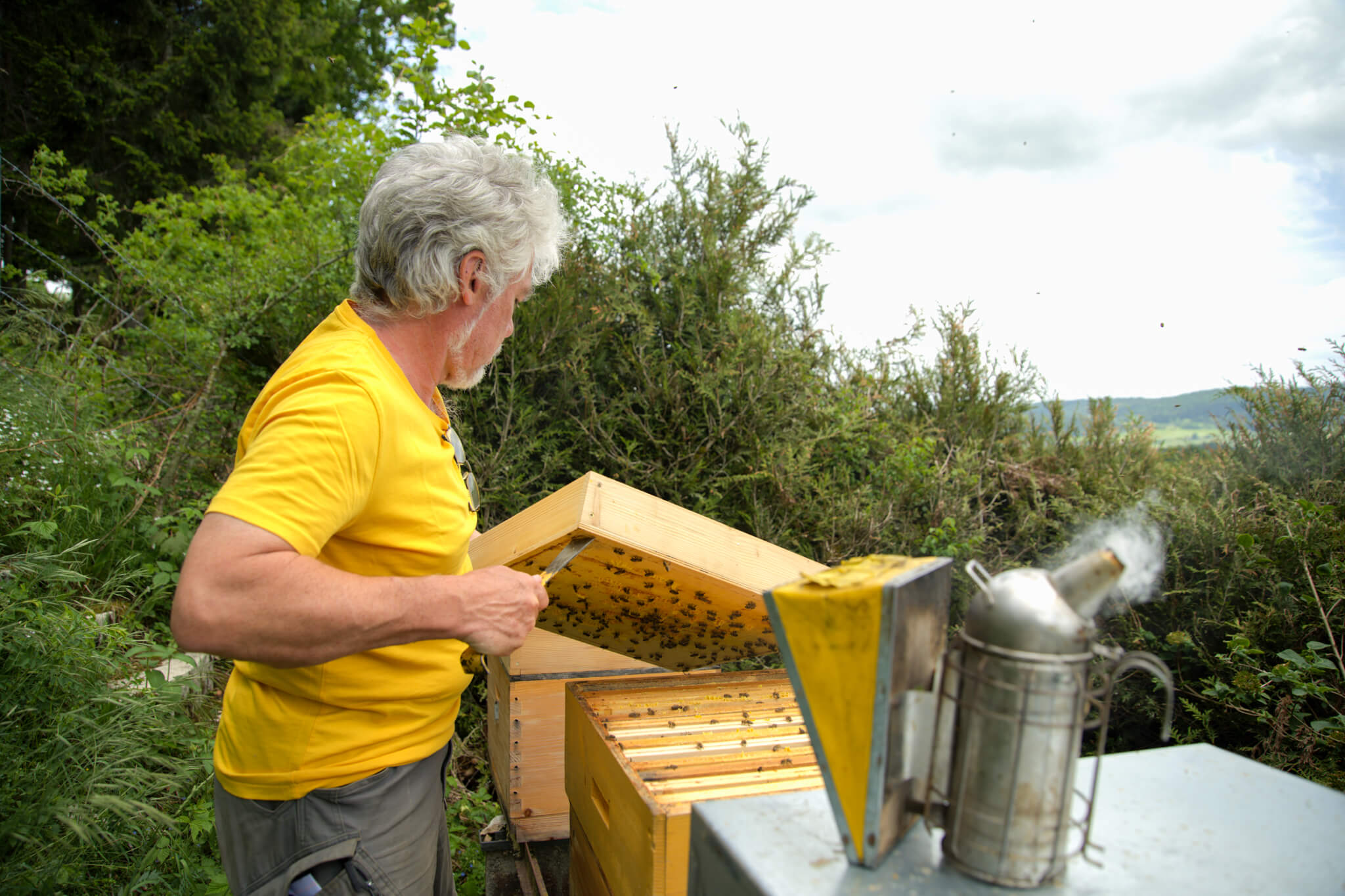 Philippe Roth s'occupe de ses abeilles